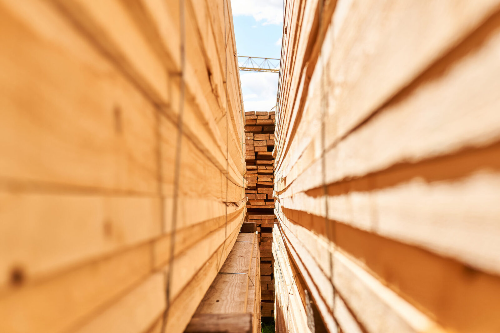 Wood processing at VučkoProm