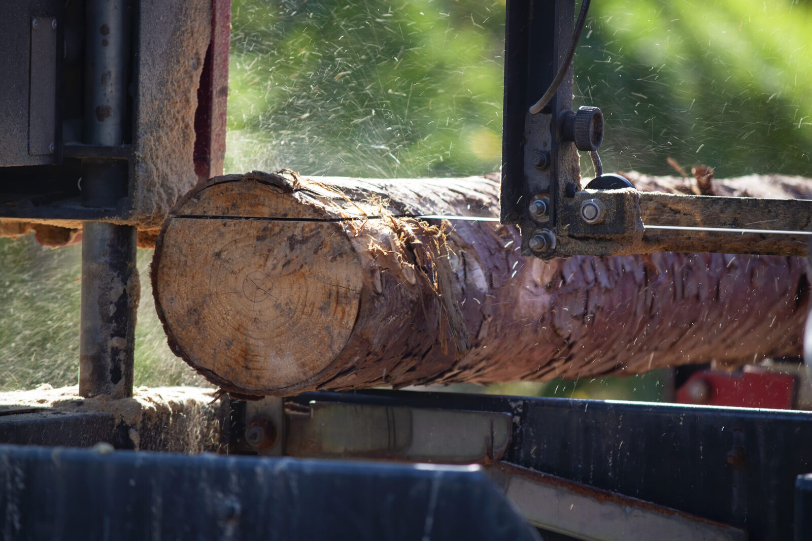 Wood processing at VučkoProm