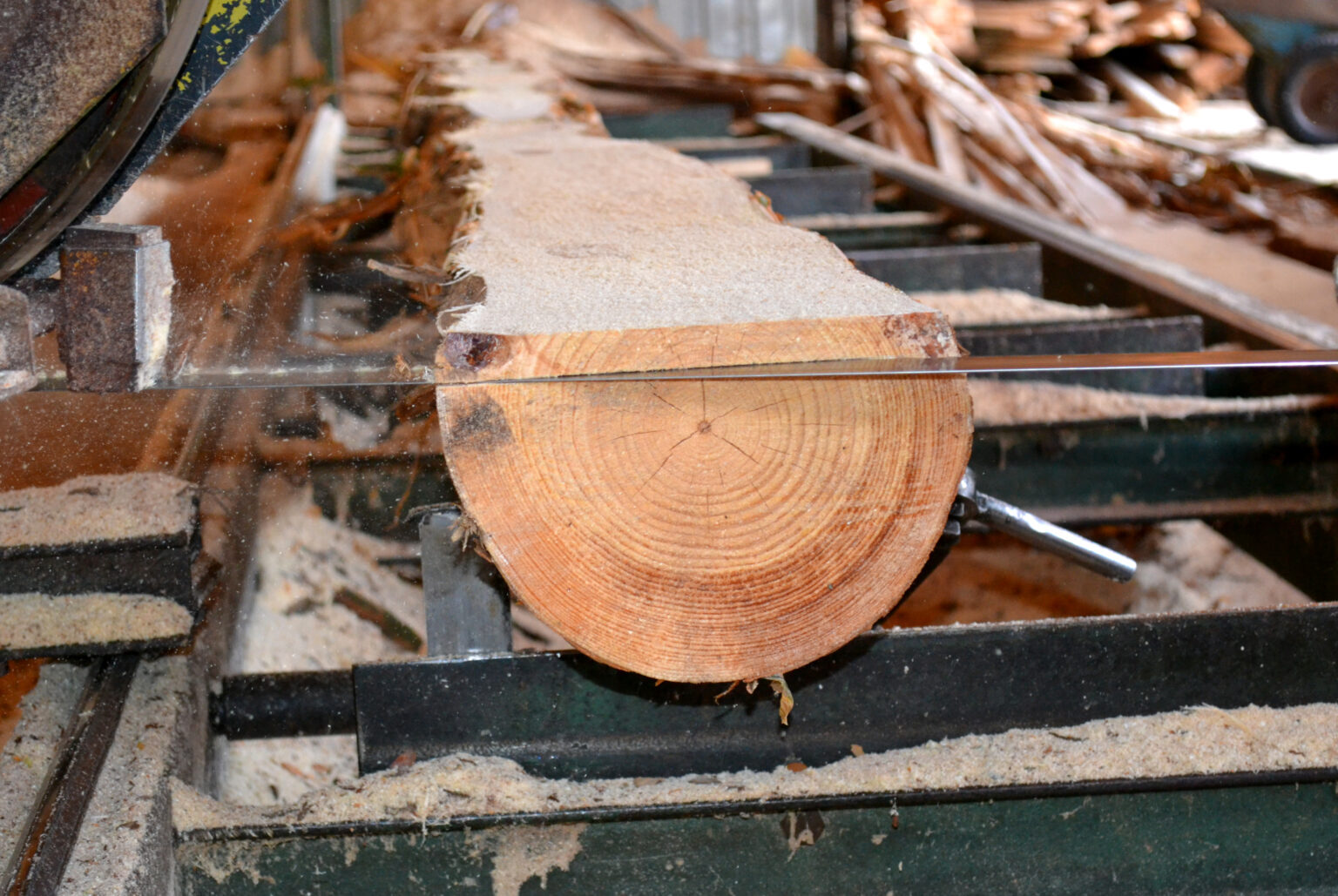 Wood processing at VučkoProm